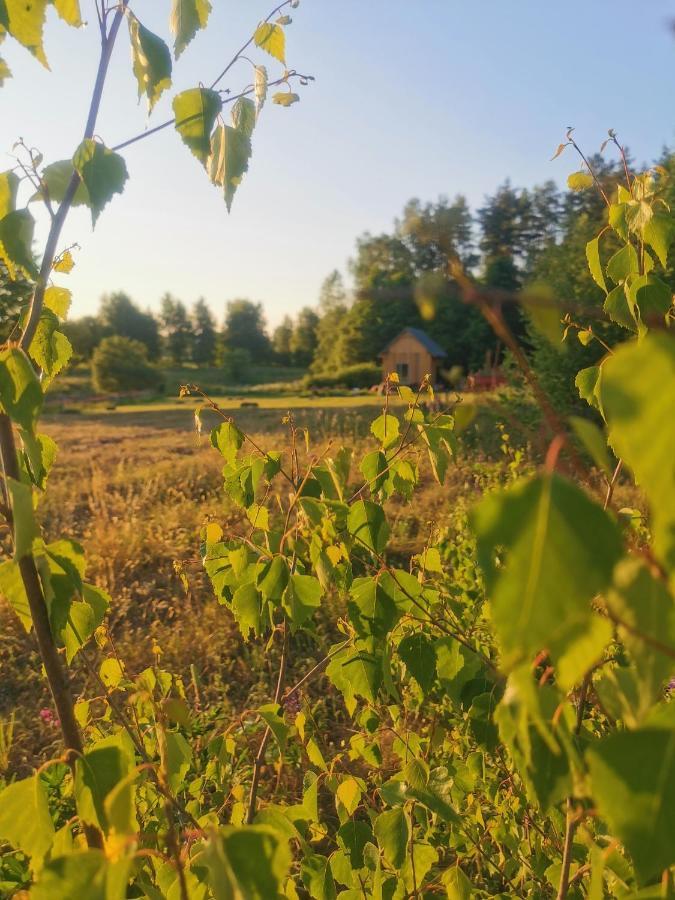Willa Olejarnia Godki Jonkowo Zewnętrze zdjęcie